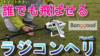 チョット大きい誰でも飛ばせるラジコンヘリ　徹底レビュー　WLY WING FW450L V3　Flight編