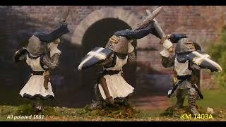 War of the Ring- Dol Amroth- Elite Swan Knights