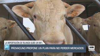 El Campo | Provacuno propone un plan para no perder mercados | 06/03/25