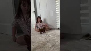 Слишком королевский наш БАРНИ, моё сердце растаяло ️