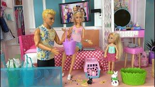 Barbie and Ken at Barbie’s Dream House with Sister Chelsea Cleaning and Too Many Pets Making Mess