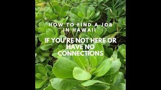 How To Find A Job In Hawaii When You’re Not Here Or If You Have No Connections