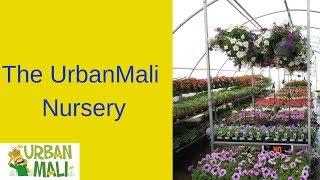 The UrbanMali Nursery