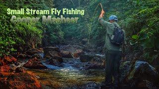 Malaysia Small Stream Fly Fishing 1