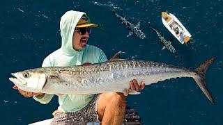 25+ Miles Off in a SKIFF... Mahi Mahi, Kingfish, Cobia, Sharks | Easy Smoked Kingfish Dip