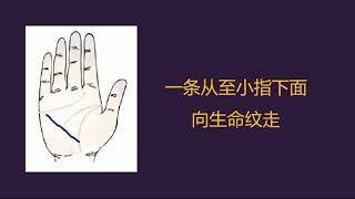 014 健康纹_无为子掌纹手相的运密码