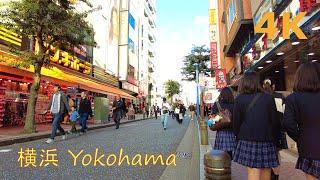 【4k】Kanagawa walk-Yokohama Station⭐横浜駅周辺を散歩