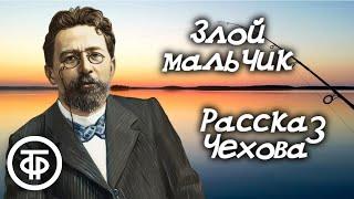 Антон Чехов "Злой мальчик". Читает Юрий Кольцов (1976)