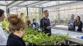 Webinar January 28th - Online Master Plant Breeding