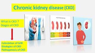 What is Chronic Kidney Disease (CKD) | Stages of Chronic Kidney Disease| GFR calculation