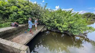 Hermoso lugar de pesca encontramos el criadero de miles de peces