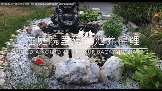 如何在庭院中建鱼池养锦鲤 How To Build A Koi Pond In Your Backyard