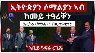 ኢትዮጵያን ሶማልያን ኣብ ከመይ ተዓሪቐን #aanmedia #eritrea #ethiopia #egypt #sudan #somalia #russia  #eridronawi