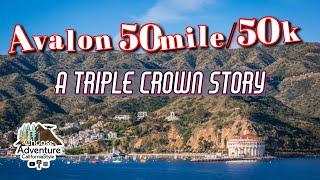 Avalon 50 mile/50k Run| California's premier trail running challenge