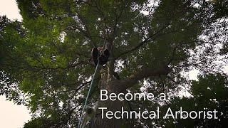 Become a Technical Arborist at Rainbow