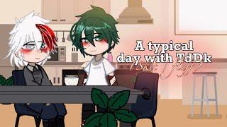 A typical day with TodoDeku  (skit / fluff)