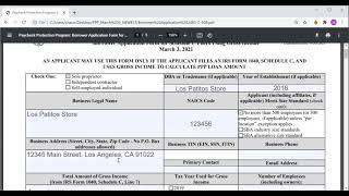 PPP - SBA 2483-C Form. First Draw Gross Income