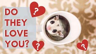 Signs Your Sugar Glider Loves You