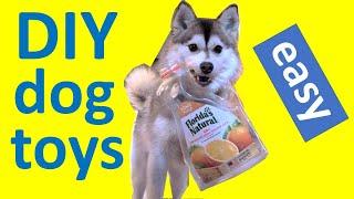 DIY dog toys: 5 everyday objects we use to keep our Pomsky puppy busy (plastic bottles, bones, etc.)