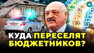 Кто получит БЕСПЛАТНОЕ жильё: Лукашенко пошёл ва-банк. Кадыров объявил охоту // Новости