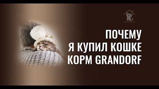 Почему я перевел кошку на корм Grandorf