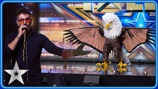 I'M LIKE A BIRD! Eagle act 'FLIES' over Simon Cowell | Auditions | BGT 2025