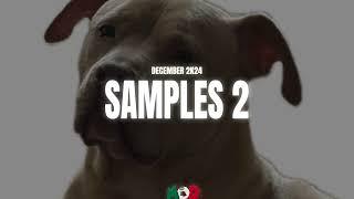 December Samples 2K24 2 - MexikoDro Beats