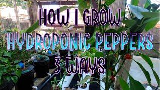 How I grow Hydroponic Peppers, 3 ways