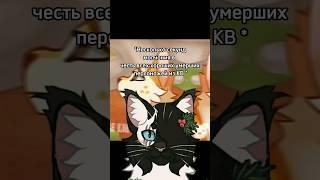 Барсучий Зуб.....  #котывоители #кв #квтоп #возродимрукв