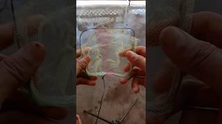 How to make fish net in home at 0 rupees  #shorts #fishnet #guppyfish