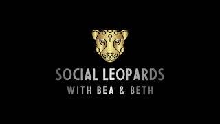 14: Social Strategies Unveiled