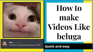 How to make videos like beluga