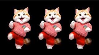 Cats and dog video funny dance   #cat #catanddog #catsdancing @furry-cornerz