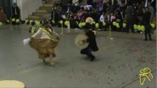 CABALLO DE PASO 2012 - S.M. JACQUELINE TOULIER