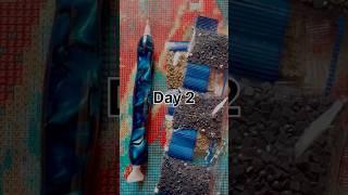 Krishna Radhe Diamond Painting | 1 Sub = 1 | Day2 | #diy #diamondpainting #shorts