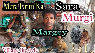 Village Lifestyle || murgi palan || hindi vlog || rajeeb balasore vlogs