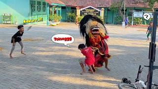 LUCU BANGET !! PENGEJEK KETANGKAP BARONGAN NGAMUK Arak Arakan Barongan Blora & Reog TARUNO ADI JOYO