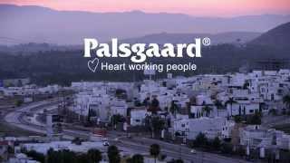 Palsgaard Corporate Film