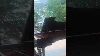 ALEX MÁRQUEZ TOCA EL PIANO EN LA CASA DE EDWARD GRIEG EN BERGEN NORUEGA