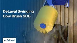 DeLaval Swinging Cow Brush SCB | Ensuring Happy, Healthy Animals | DeLaval