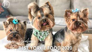 Best Dog Food For Yorkies 2020 | What I feed my Yorkie