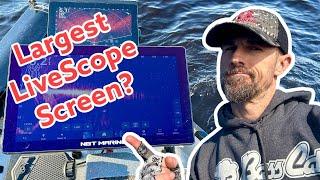 Biggest LiveScope Screen?