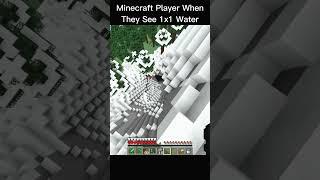 Minecraft Player When They See 1x1 Water