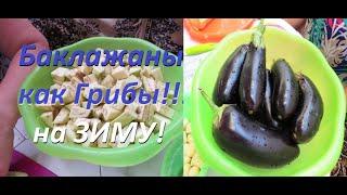 Баклажаны как грибы(заготовка на зиму) Eggplant like mushrooms(winter is near)