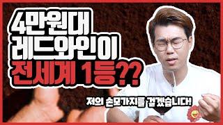 전세계1등 와인은 무슨맛? 무려 4만원대 레드와인 인데 1등? 극 가성비 와인추천 #2