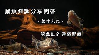 鼠博館：社群問答 第十九集 鼠魚缸推薦的設置