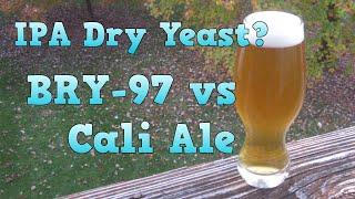 Dry Yeast for an IPA? BRY-97 vs Cali Ale