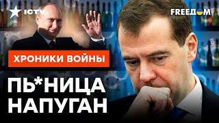 Медведев УЙДЕТ НАВСЕГДА? Главная "БЕЛКА" Кремля НЕ ПЕРЕЖИВЕТ ПОБЕГ Путина