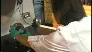 webtvbiz.tv   "National Training NC Community College System"