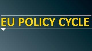 What is the EU policy cycle?